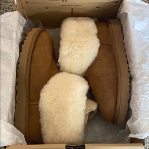 Brand New in box UGG classic mini fluff size 6
